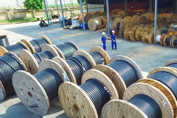 Cáp hạ thế Z43