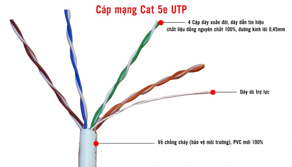cấu tạo cáp mạng lan 5e Z43
