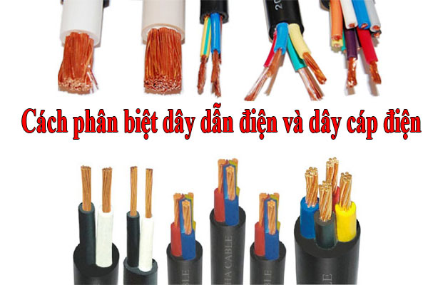 phan_biet_day_dan_dien_va_day_cap_dien_dung_cach
